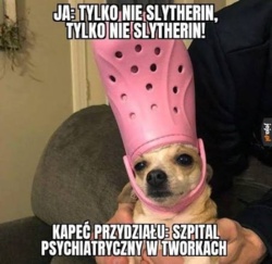 88c2fc75-5f4a-4745-adb6-a219e581c6d7