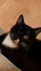 8ed147d1-86fb-44a3-b990-7de872bd6e3c