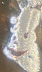 5c78f87f-801d-462d-8c8c-6c79d5f11949