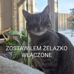 4a7c1d16-1825-44c8-9762-225720463c24