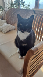 264a1a8b-b3c6-41fb-bb1c-d4876d4bf039