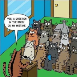 e5f186e9-0ba4-4a72-9ff6-8fe83ada94cb