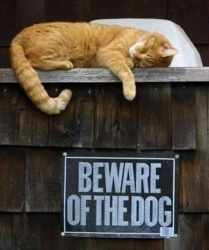 2fefb4e5-244c-4064-b7d4-5bd4a1a1f034