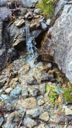 5d8e6352-4a0a-4154-8c02-479868eaaefb