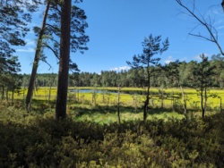 bdbb3b36-ac1d-4592-a314-5ed96ea2daec