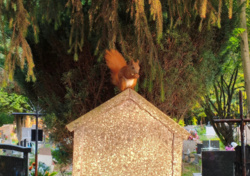 57ff8176-c014-42c4-a8c5-0b1c47d1621e