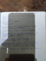 6dc07b74-1b34-4fca-a2ae-2088e444aa9a