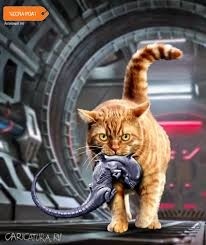 e896ca44-67a6-46c7-ae7e-f4486242307c