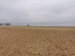 ec636b82-1fd0-4c09-9a8c-b2d8fa20eaa4