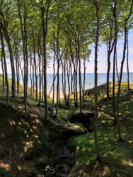 f869d6a3-0eba-4072-8a79-ea180907eb16