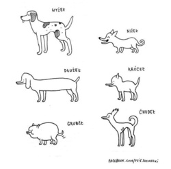 cd6b0ef4-24b6-402e-a962-db6481ac3248