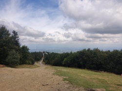 82e7acd9-ba16-4367-80da-d1a298244da0