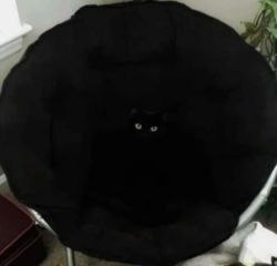 eaccad02-2f0f-4104-b060-86d42fa10b95