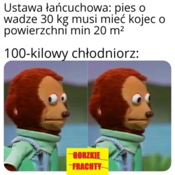 d8b78b26-c982-44ba-bb3c-846db27d4b0b