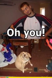 b9533ea7-9063-4d93-b633-9e4eeca16a1c