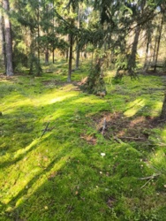 c7fb58cd-934c-4fcc-99d8-6708e0402f26