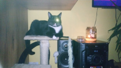 84652920-99e9-48ca-b216-85bc8956b417