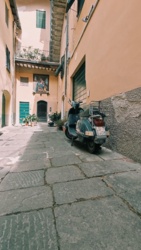 fd26920d-1a0c-4c1c-b5d5-afc3492e8bb8