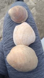 1a71d6c9-02b1-40da-9b58-768b9433589d