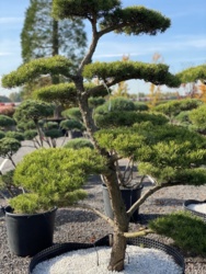 8a7d1713-abdf-404c-b183-f6556f8d60e0