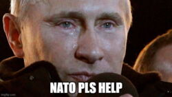 8cb306f0-94cd-467c-bdf7-1c09ae1ab40d