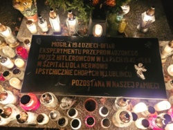 3f273ab0-889b-46fb-8b1f-4df898c7885f