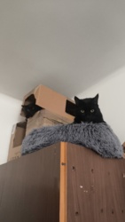 ecb4d1c2-31ec-46ce-abd6-d0a3722146eb