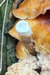 c9e6c78b-bb89-4048-a9b2-0e9760b017f7