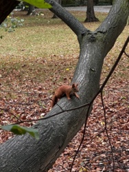 95c9ade1-1583-4b7f-9912-eebd2dd2b83f