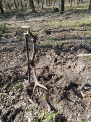 693181d2-7fd2-4fd6-b8f8-6196863d6c8b