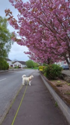 243b05d6-e1a3-4053-96c2-852e9e4791d2