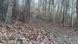 0162e730-2e38-4e52-b4e4-9d32be30e6c9