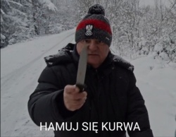 a74ad019-c4f1-49a8-b643-a2ca6ee83fda