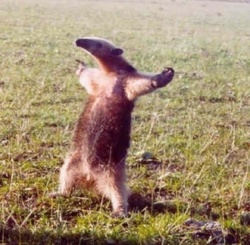 2ff98398-9b60-41b2-8880-571158fa7cef