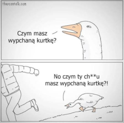 2dc0e7cf-8652-4fe2-9a1a-0aa40b3b5201