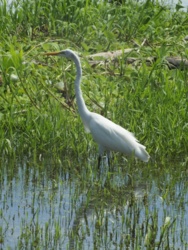 27f8c873-acc6-4b20-b53a-40981e86786f