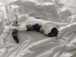 9624b02e-e7bc-4b46-b4bc-2567e2df42b8