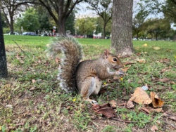 87c806c4-371c-414b-8949-5aba9dcdce33