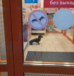 6f2eece1-899e-459e-8cc0-01334758bd6f