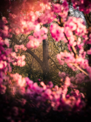 3d5a29ba-d805-4a6d-8b0c-48c06941c87f