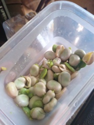 c141d7a6-a151-4f2a-aba2-b9a332d48f0e