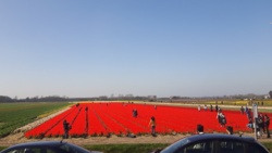 e4d23ee3-5b4a-48c2-abe8-8cf48362f95a