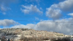 78f6ea36-f3cf-496e-b58f-099c51f305aa