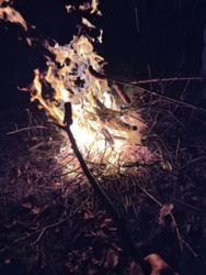 bce68819-67d5-4764-bee3-8488d4cd6d75