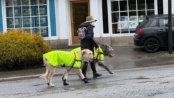 6542249b-e422-41c0-a4d8-bdf7b67f2147