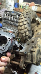 25719568-a48c-4767-9531-7fbf871995bf