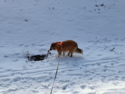 1613398d-0e5c-44a7-aee9-f947f811d951