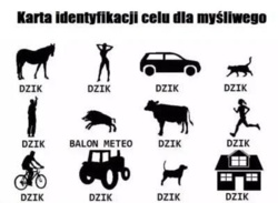 5d573a1a-08d7-473d-bbe6-d4019e99512a