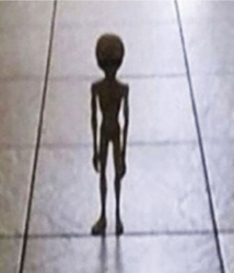 7f5ed04f-9057-41c2-abc5-6e60574b5dc7