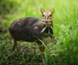 0a756633-ef61-4555-902e-a4939eaa09b0